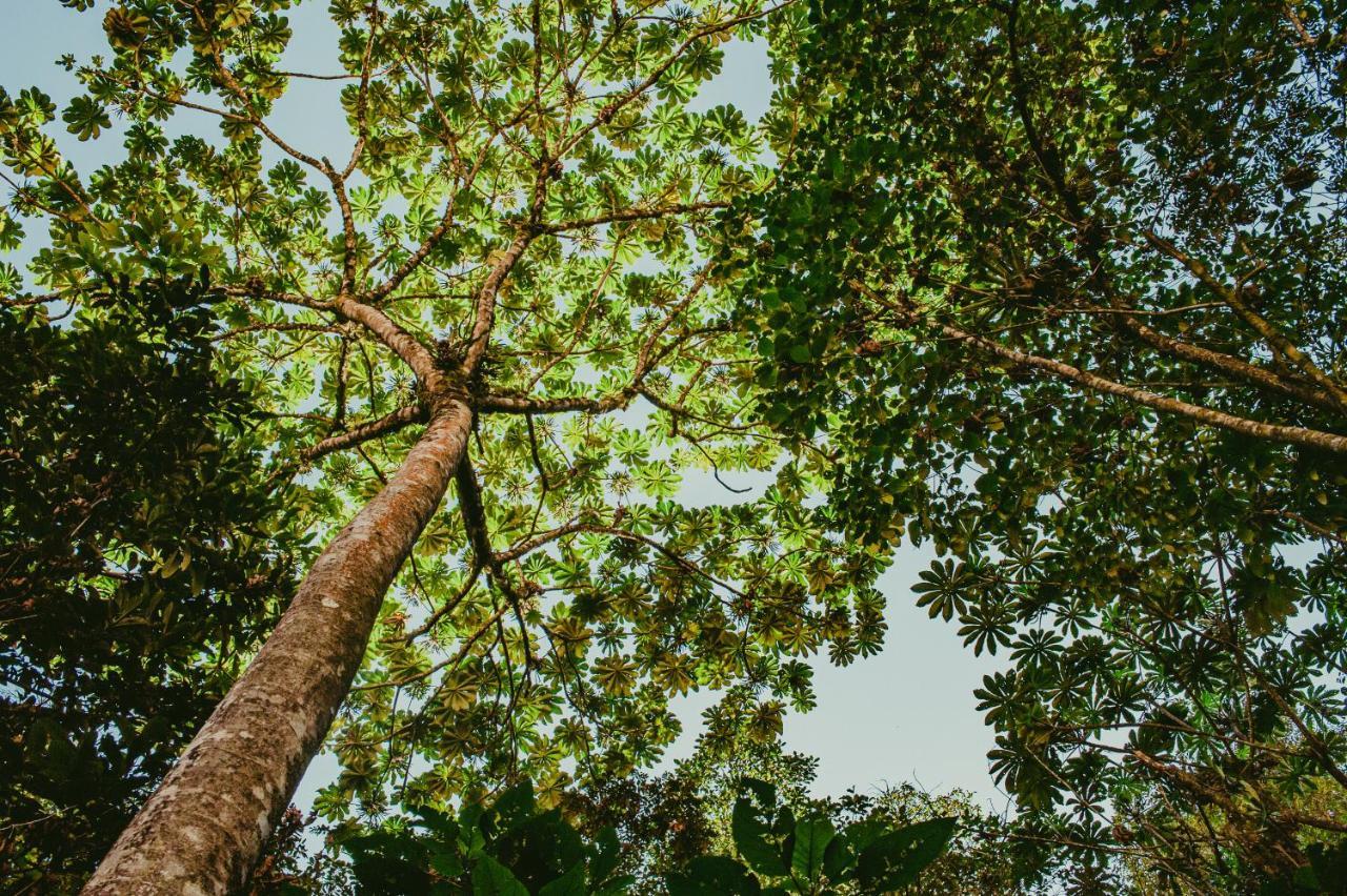 Rupa Rupa High Jungle Eco Hotel 3*